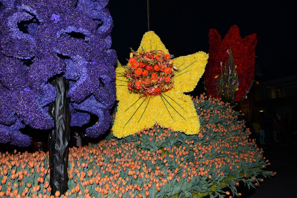 ../Images/Bloemencorso 2015 156.jpg